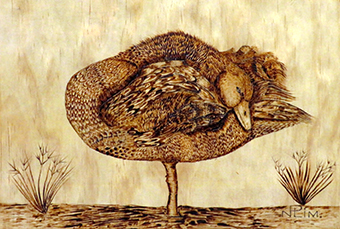 Black Swan by Neil Plim (Pyrography)